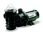 Above Ground Pool Pumps and filters